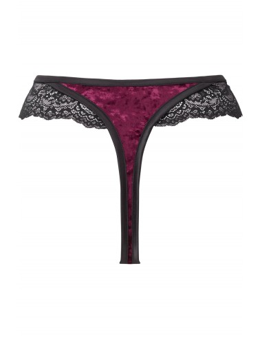 Culotte Sacred Spirit Blood