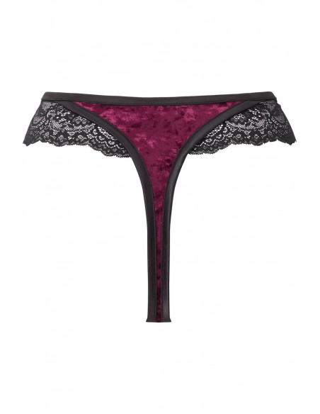 Culotte Sacred Spirit Blood