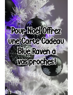 Carte Cadeau Blue Raven 50€ 2