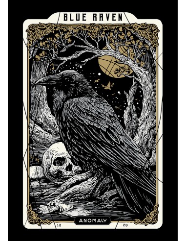 T-shirt Homme Blue Raven by Anomaly Maître Corbeau