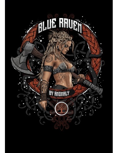 Détail du visuel T-shirt Viking Blue Raven