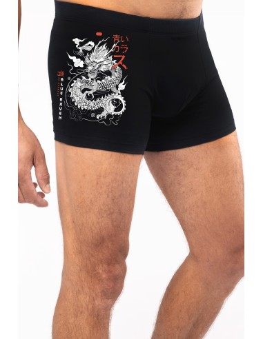 Boxer Blue Raven By Anomaly Tatsu