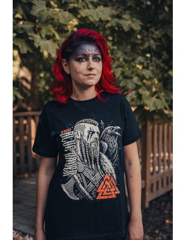 T-shirt Viking Son of Valhalla Blue Raven By Anomaly